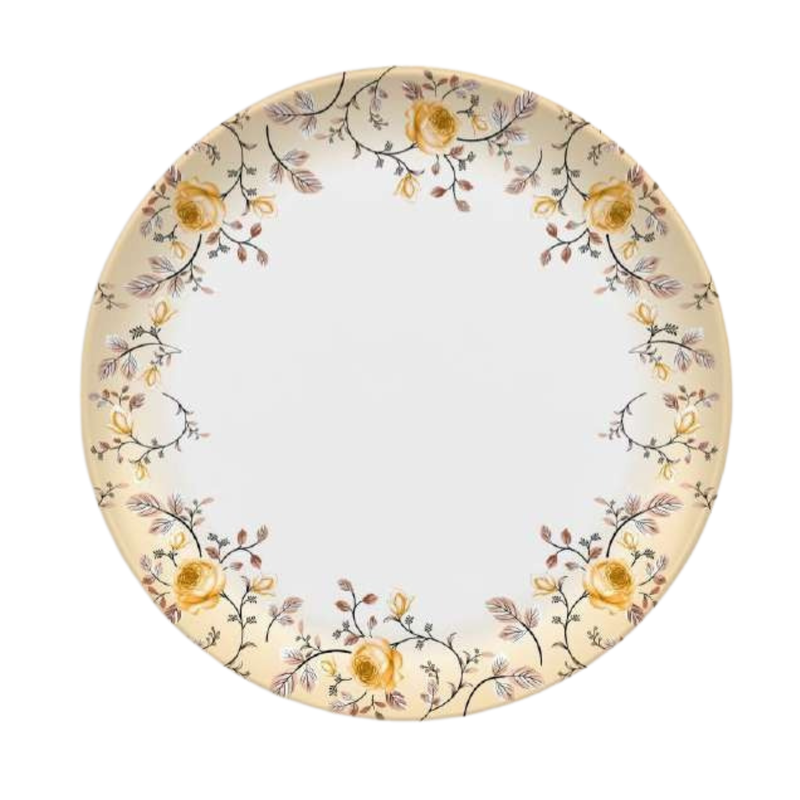 Ethnic Dinner Set 10